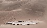 Mesquite Dunes 9618
